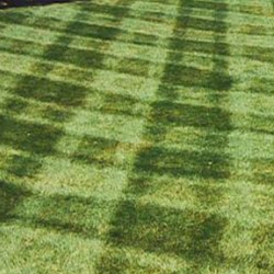Know the real facts when it comes to lawn care.