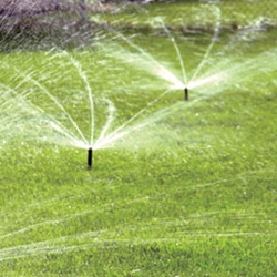 Lawn Cutting and Watering Tips for Summer