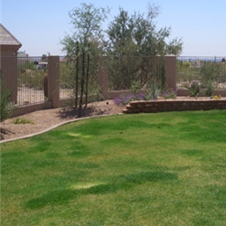 Save money and keep your lawn looking great.